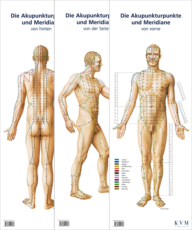 Lernposter: Akupunkturpunkte und Meridiane