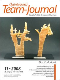 Team-Journal, 11/2008