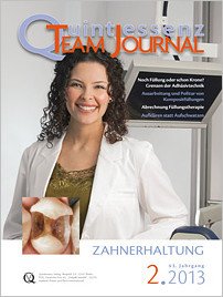 Team-Journal, 2/2013