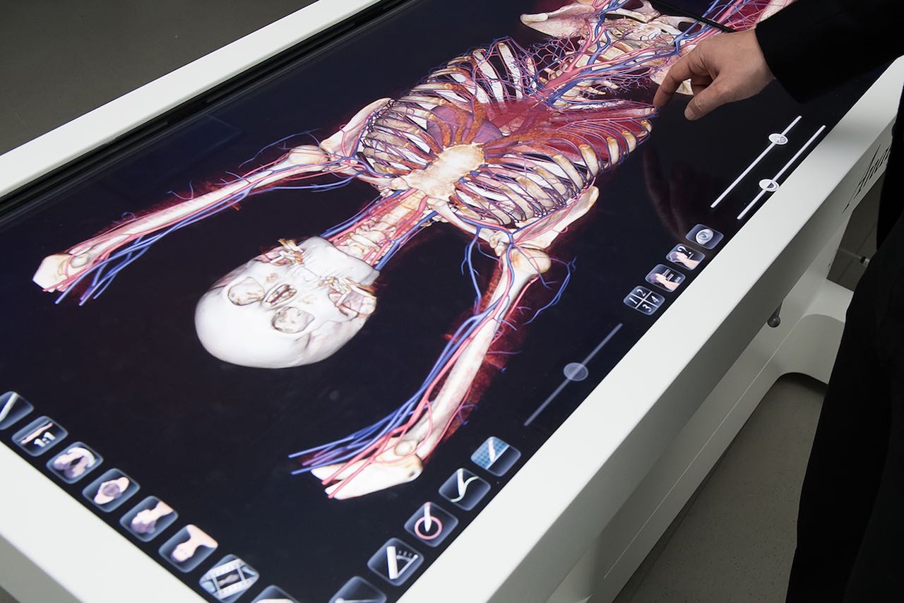 Der virtuelle Anatomietisch liefert hochmoderne Schnittbilder