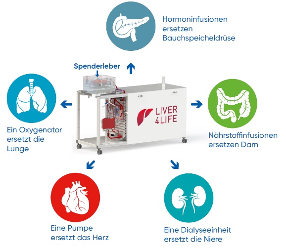 Abb. 2 Die Perfusionsmaschine ersetzt die Funktion diverser Organe, um die Leber außerhalb des Körpers am Leben zu halten.