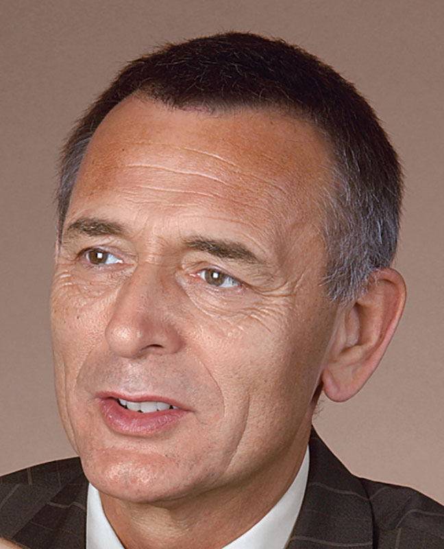 Prof. Dr. Thomas Hoffmann