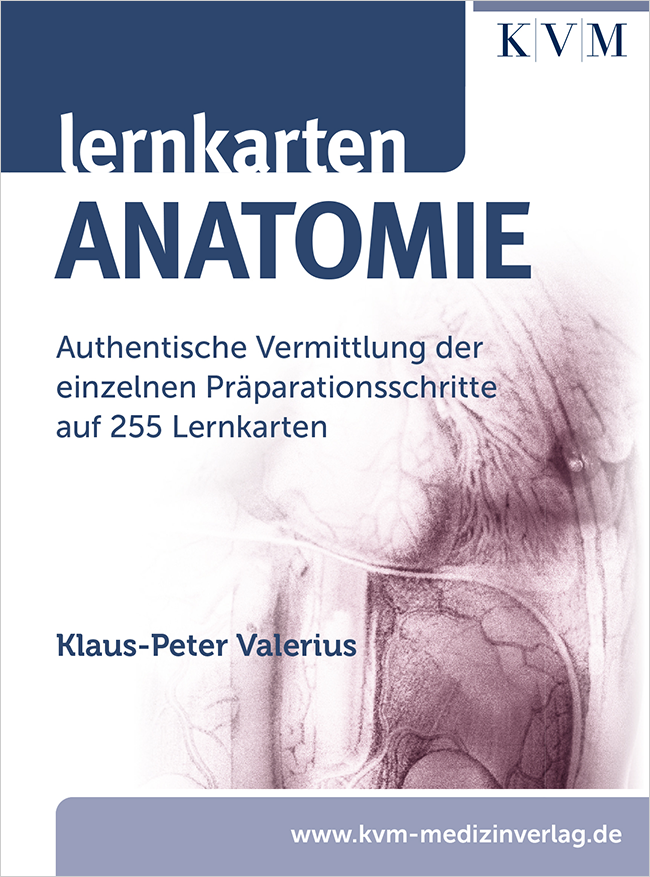 Valerius: Lernkarten Anatomie
