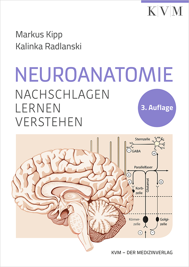 Kipp: Neuroanatomie