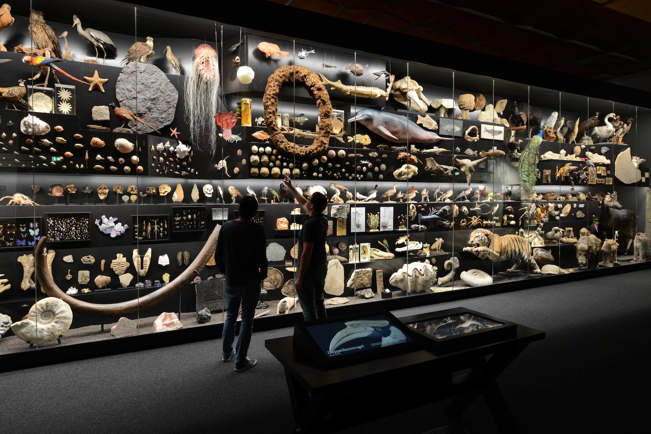 Die vielfältige Sammlung des Museums fasziniert Besucherinnen und Besucher